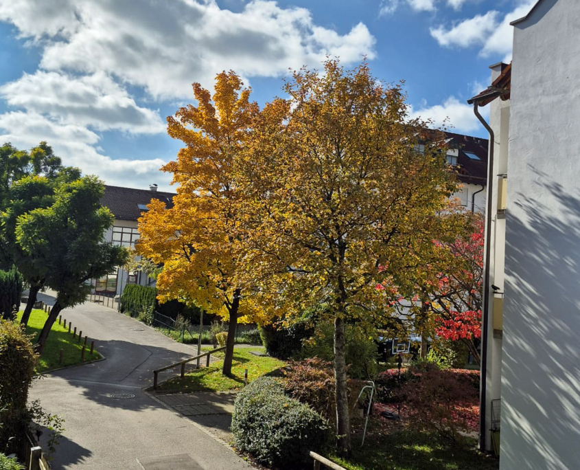 WhatsApp Bild 2025-11-11 um 10.13.10_3fcac80f